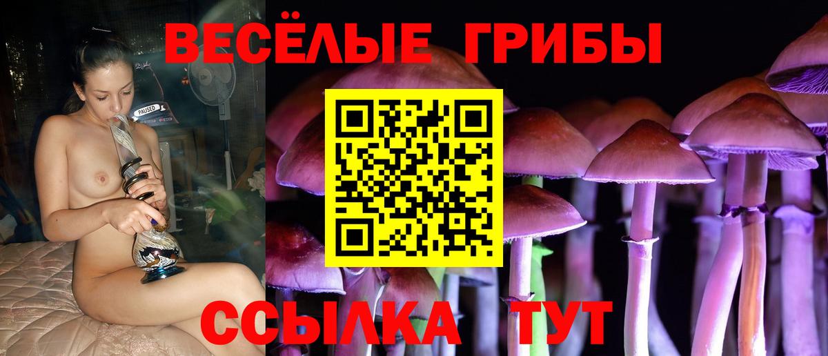 Дзержинск  Псилоцибиновые грибы MAGIC MUSHROOMS  Псилоцибиновые грибы Magic Shrooms  Вход с VPN 